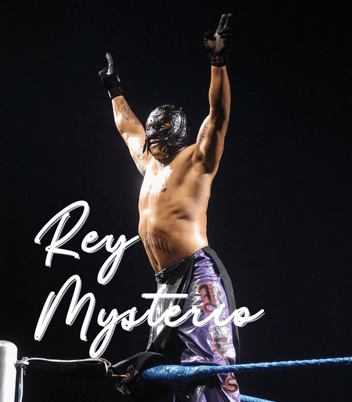 WWE Icon Rey Mysterio Wall Art