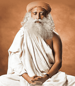 Meditating Yogi Sadhguru Wall Art2