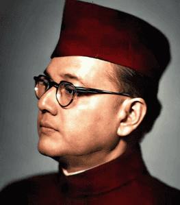 Patriot Subhash Chandra Bose Wall Art