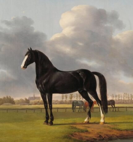 Black Horse Oil Painting Wall Art