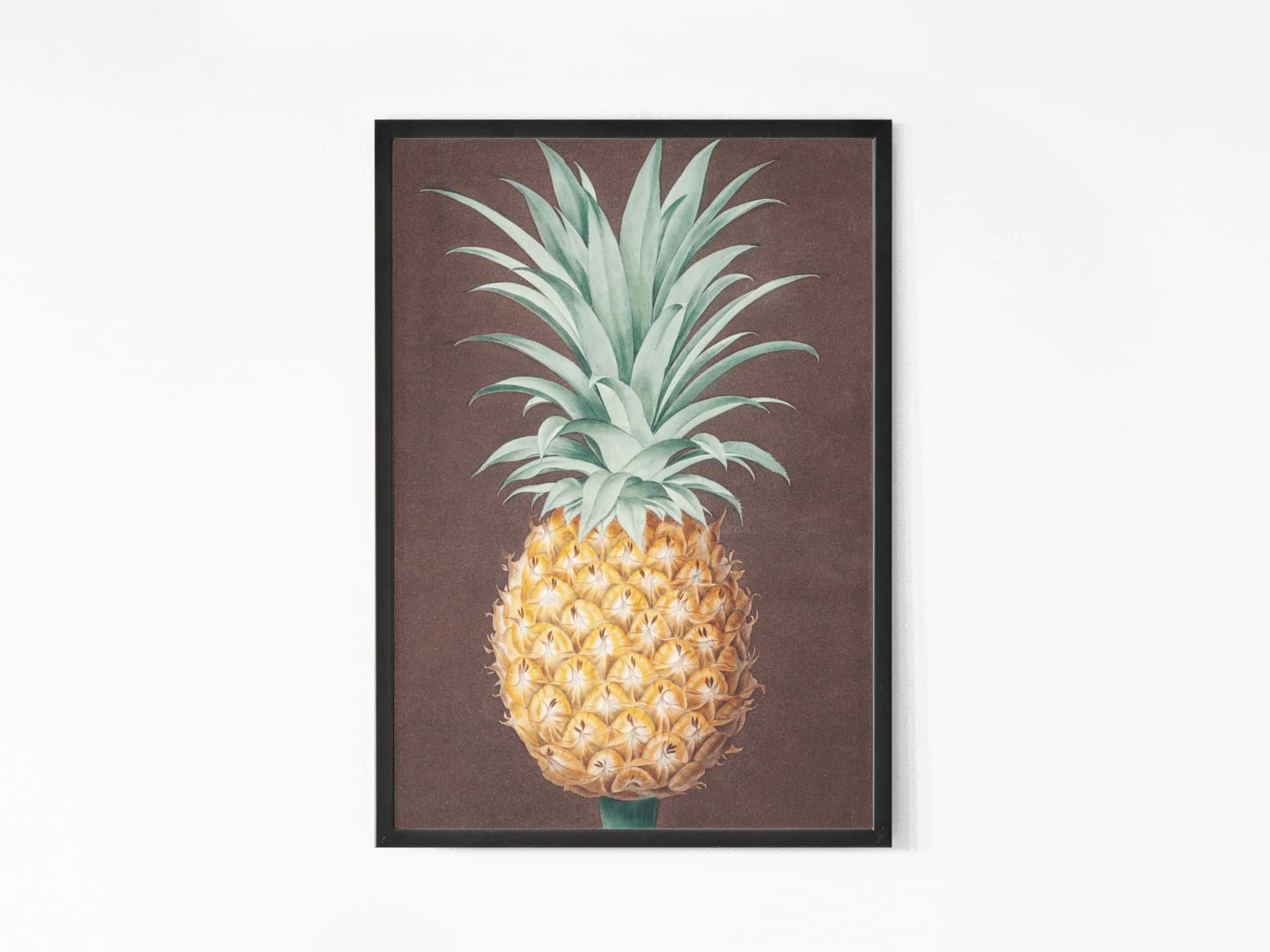 Brown Havannah Pineapple Wall Art