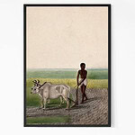 A Man Ploughing Land with Oxen painting Wall Art