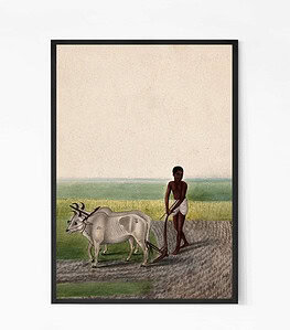 A Man Ploughing Land with Oxen painting Wall Art