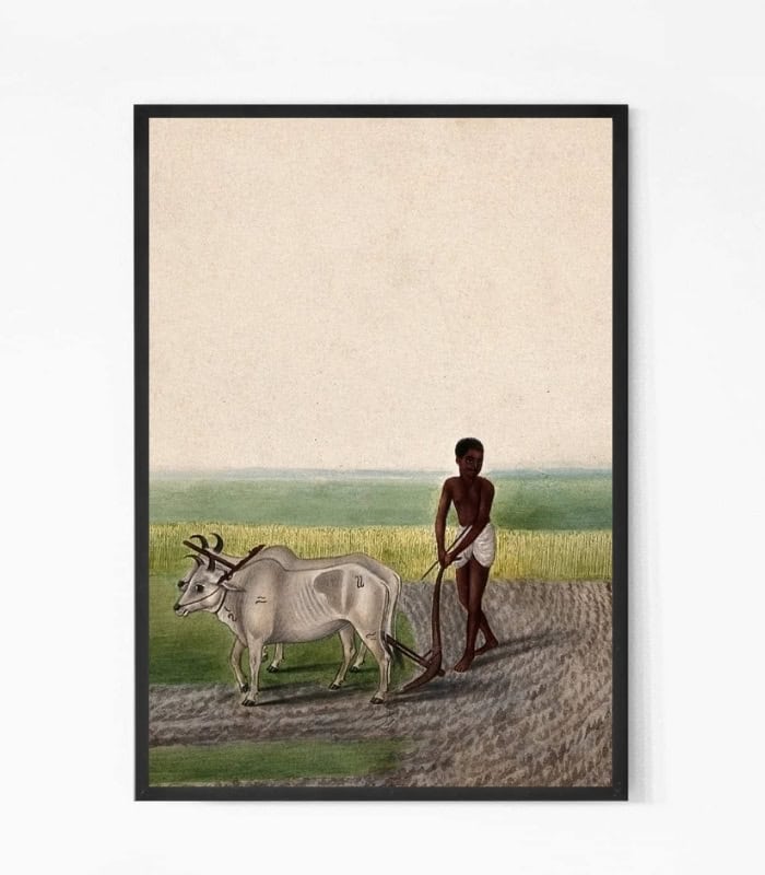 A Man Ploughing Land with Oxen painting Wall Art