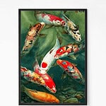 Enchanting Koi Fish Wall Poster