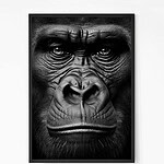 Gorilla Wall art