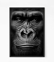 Gorilla Wall art