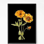 Vibrant Peaceful Sunflower Wall Art