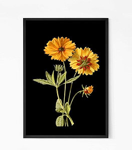 Vibrant Peaceful Sunflower Wall Art