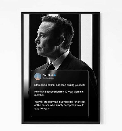 Elon Musk Goal quote wall art2