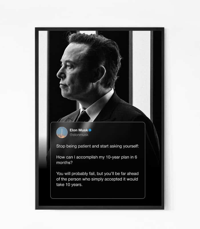 Elon Musk Goal quote wall art2